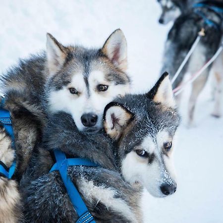 Arctic Home Рованіемі Екстер'єр фото