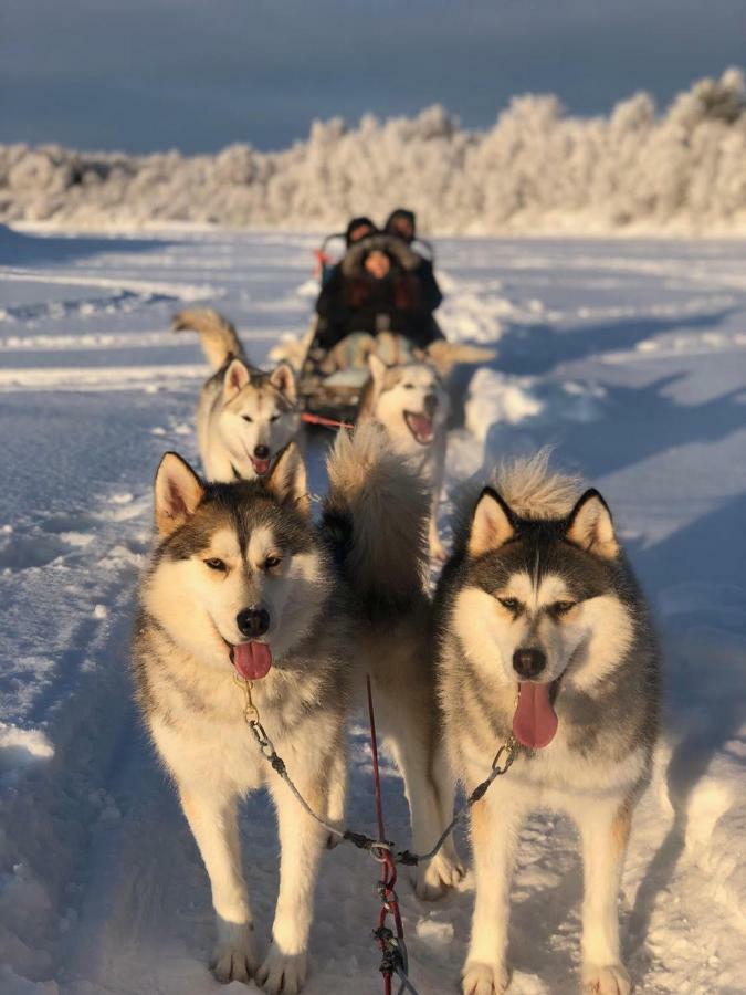 Arctic Home Рованіемі Екстер'єр фото